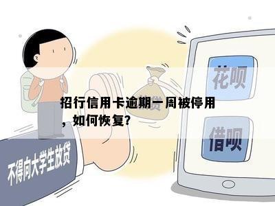 招行信用卡逾期一周被停用，如何恢复？