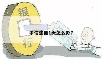 中信逾期1天怎么办？