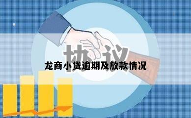 龙商小贷逾期及放款情况