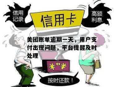 美团账单逾期一天，用户支付出现问题，平台提醒及时处理