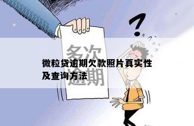 微粒贷逾期欠款照片真实性及查询方法