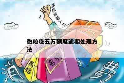 微粒贷五万额度逾期处理方法