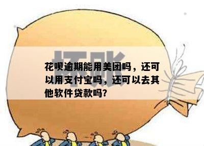 花呗逾期能用美团吗，还可以用支付宝吗，还可以去其他软件贷款吗？