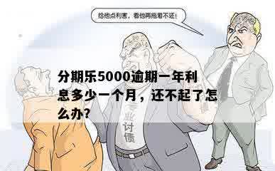 分期乐5000逾期一年利息多少一个月，还不起了怎么办？