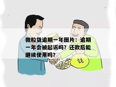 微粒贷逾期一年图片：逾期一年会被起诉吗？还款后能继续使用吗？