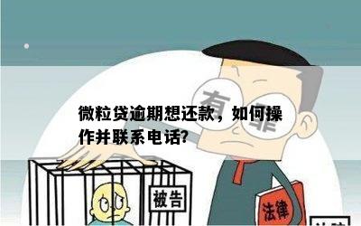 微粒贷逾期想还款，如何操作并联系电话？