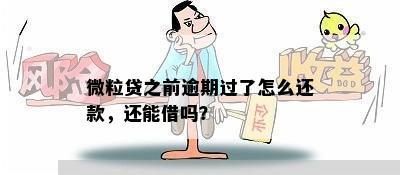 微粒贷之前逾期过了怎么还款，还能借吗？