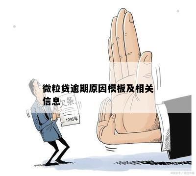 微粒贷逾期原因模板及相关信息