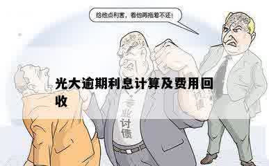 光大逾期利息计算及费用回收