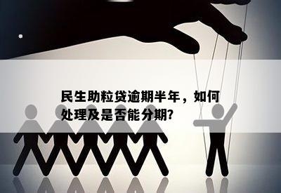 民生助粒贷逾期半年，如何处理及是否能分期？