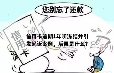 信用卡逾期1年呗冻结并引发起诉案例，后果是什么？