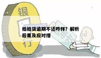 拍拍贷逾期不还咋样？解析后果及应对措