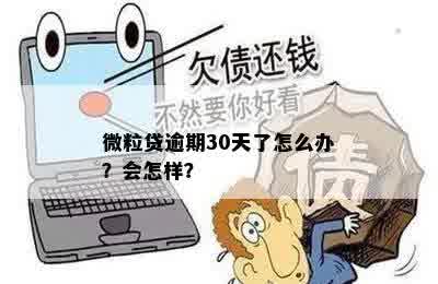 微粒贷逾期30天了怎么办？会怎样？