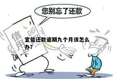 还款逾期九个月该怎么办？