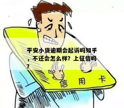 平安小贷逾期会起诉吗知乎，不还会怎么样？上征信吗？