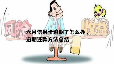 六月信用卡逾期了怎么办，逾期还款方法总结