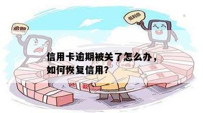 信用卡逾期被关了怎么办，如何恢复信用？