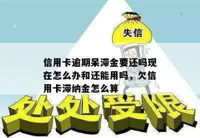 信用卡逾期呆滞金要还吗现在怎么办和还能用吗，欠信用卡滞纳金怎么算