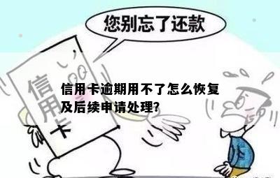 信用卡逾期用不了怎么恢复及后续申请处理？