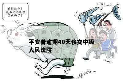 平安普逾期40天移交中级人民法院