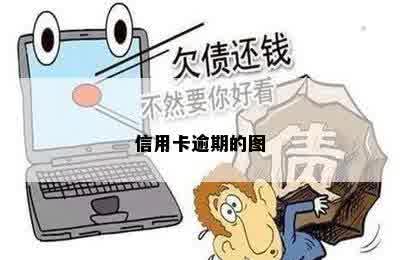 信用卡逾期的图