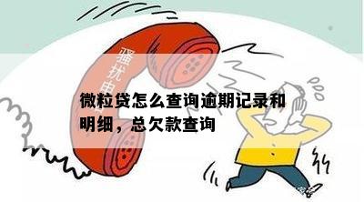 微粒贷怎么查询逾期记录和明细，总欠款查询