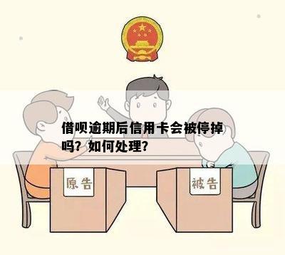 借呗逾期后信用卡会被停掉吗？如何处理？