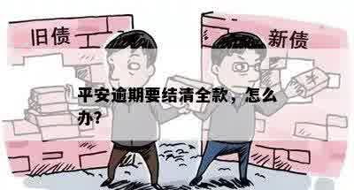 平安逾期要结清全款，怎么办？