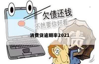 消费贷逾期率2021