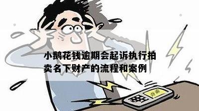 小鹅花钱逾期会起诉执行拍卖名下财产的流程和案例