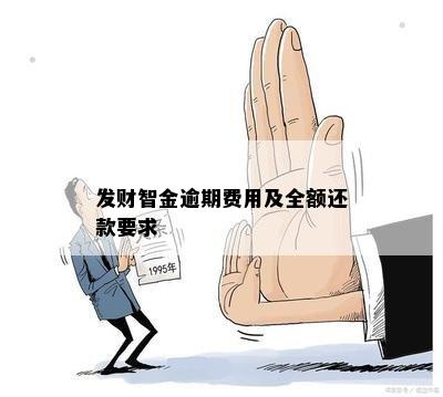 发财智金逾期费用及全额还款要求