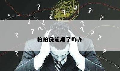 拍拍贷逾期了咋办