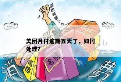 美团月付逾期五天了，如何处理？