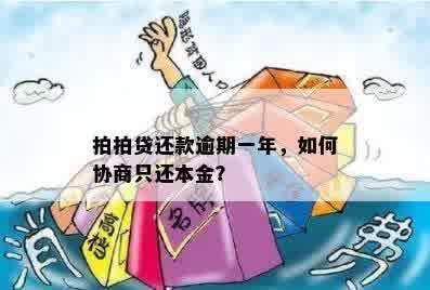 拍拍贷还款逾期一年，如何协商只还本金？