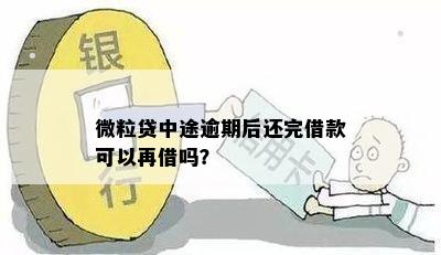 微粒贷中途逾期后还完借款可以再借吗？