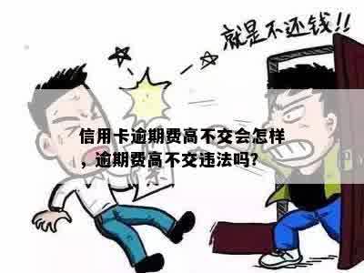 信用卡逾期费高不交会怎样，逾期费高不交违法吗？