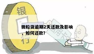 微粒贷逾期2天还款及影响，如何还款？