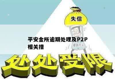 平安金所逾期处理及P2P相关措