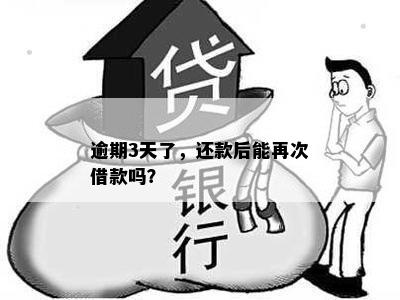 逾期3天了，还款后能再次借款吗？