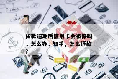 贷款逾期后信用卡会被停吗，怎么办，知乎，怎么还款？