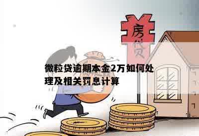 微粒贷逾期本金2万如何处理及相关罚息计算