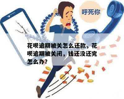 花呗逾期被关怎么还款，花呗逾期被关闭，钱还没还完怎么办？