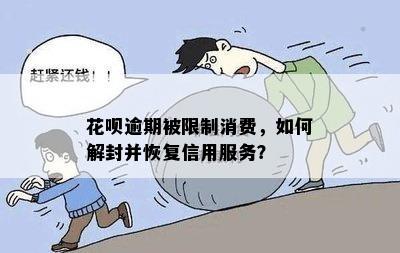 花呗逾期被限制消费，如何解封并恢复信用服务？