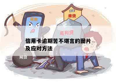 信用卡逾期苦不堪言的图片及应对方法