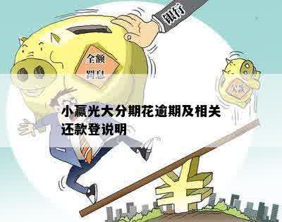 小赢光大分期花逾期及相关还款登说明