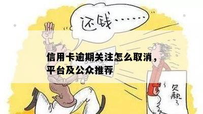 信用卡逾期关注怎么取消，平台及公众推荐