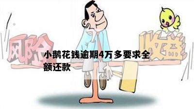 小鹅花钱逾期4万多要求全额还款