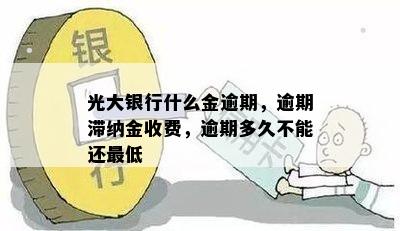 光大银行什么金逾期，逾期滞纳金收费，逾期多久不能还更低