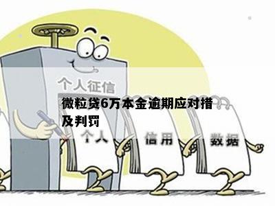 微粒贷6万本金逾期应对措及判罚