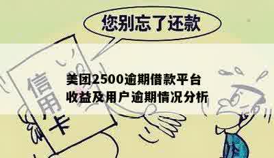 美团2500逾期借款平台收益及用户逾期情况分析